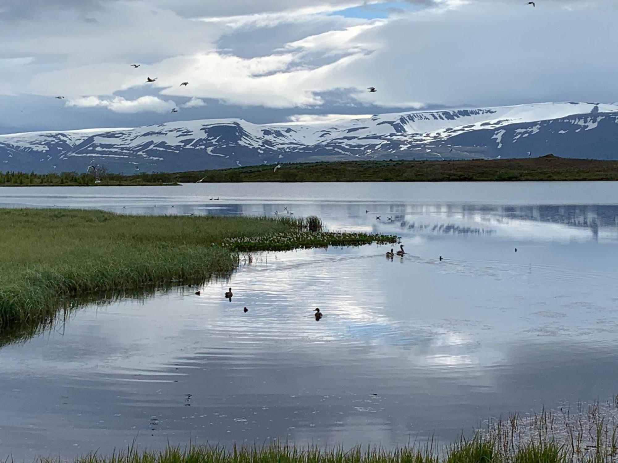 Kaldbaks-Kot Cottages Húsavík Eksteriør billede