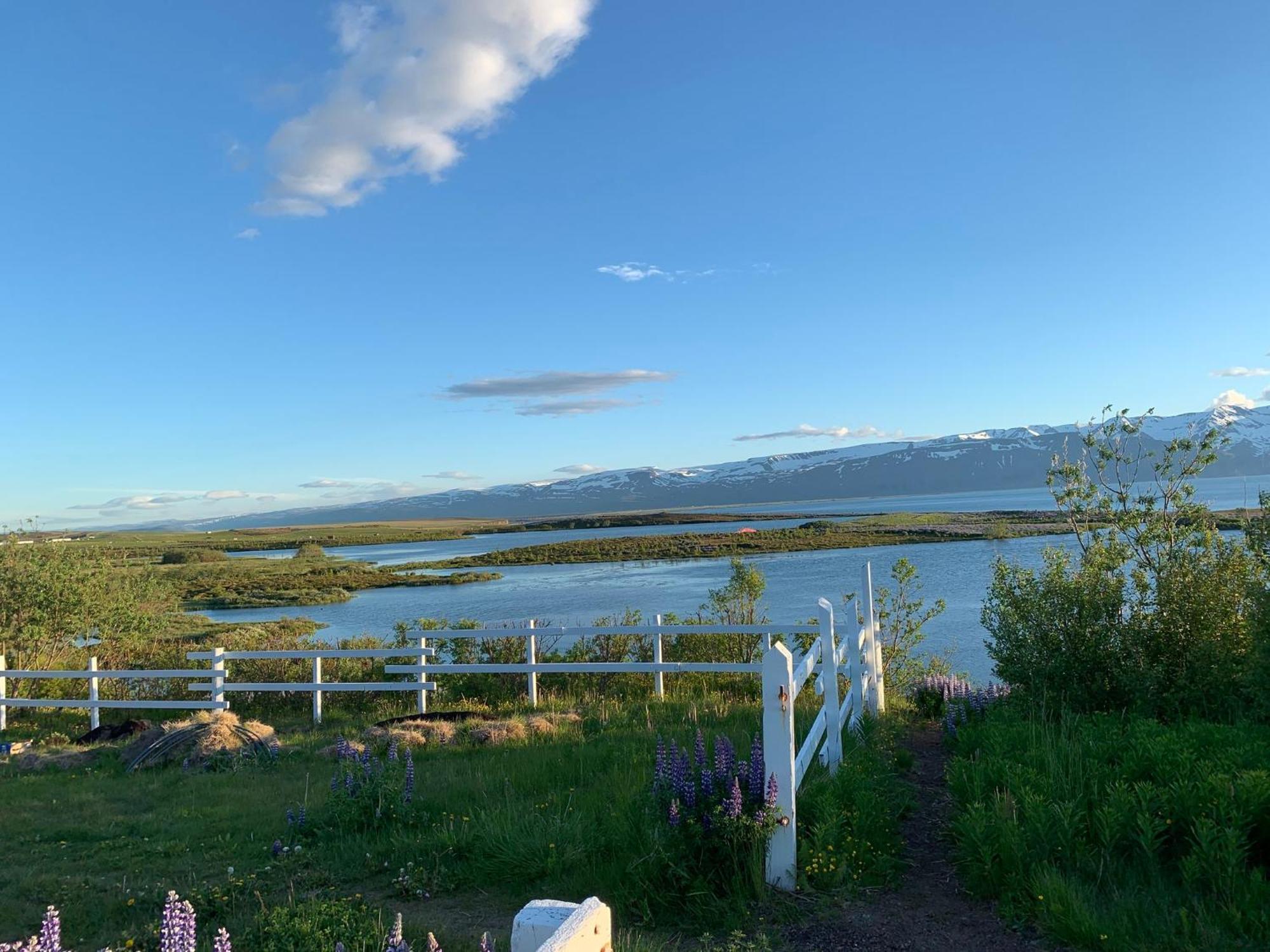 Kaldbaks-Kot Cottages Húsavík Eksteriør billede