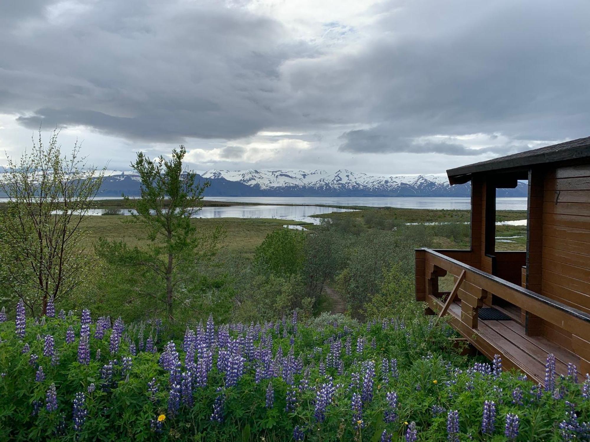 Kaldbaks-Kot Cottages Húsavík Eksteriør billede