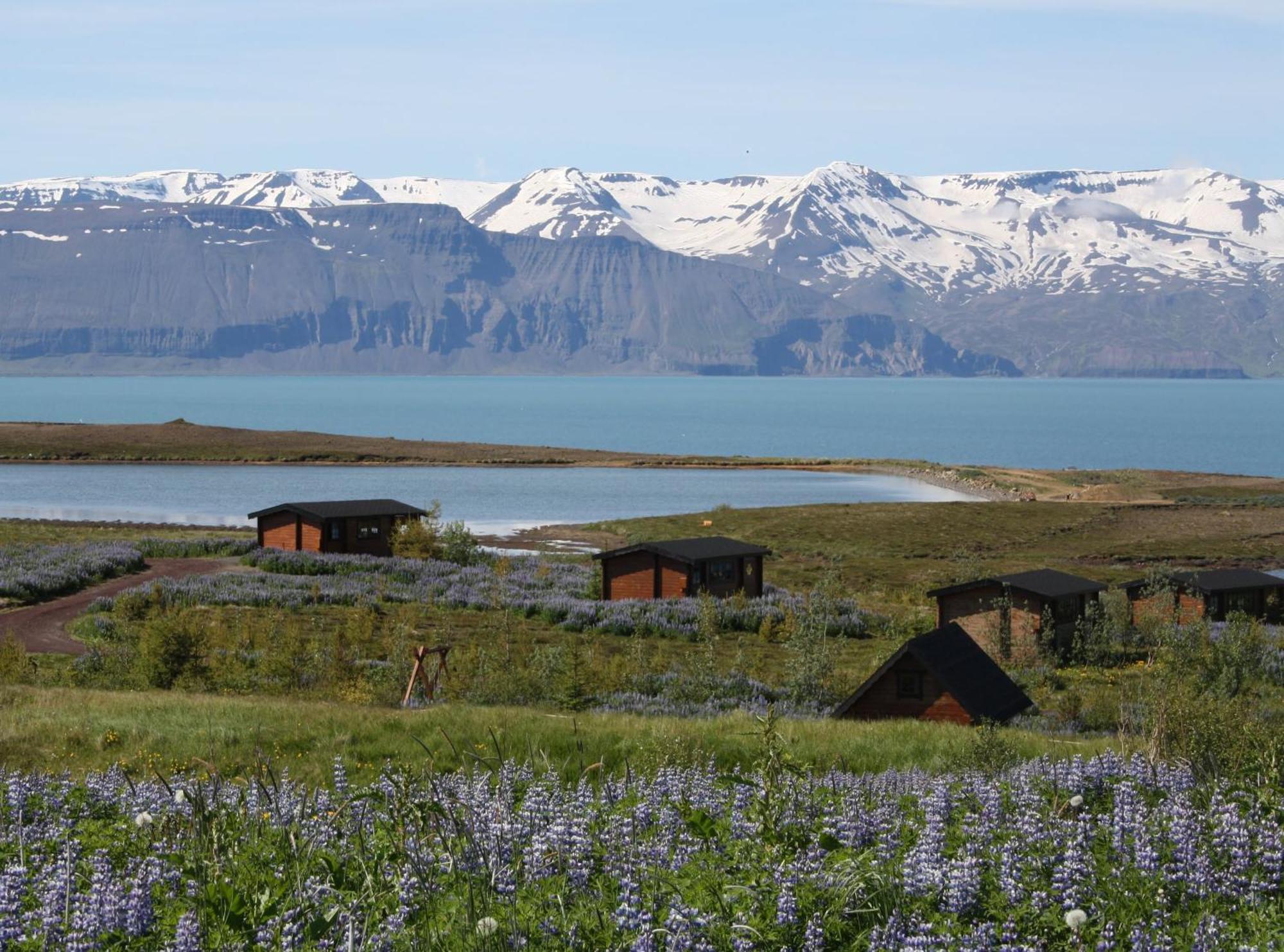 Kaldbaks-Kot Cottages Húsavík Eksteriør billede